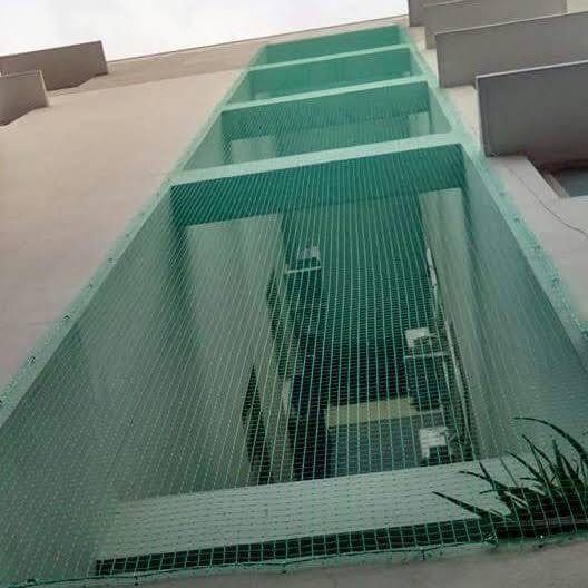 Bird Spikes Installation Hyderabad